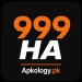 999HA Game